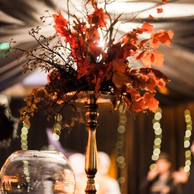 Chic-Halloween-Party-Winnipeg-Wedding-Planner-Styled-Wedding-Photoshoot