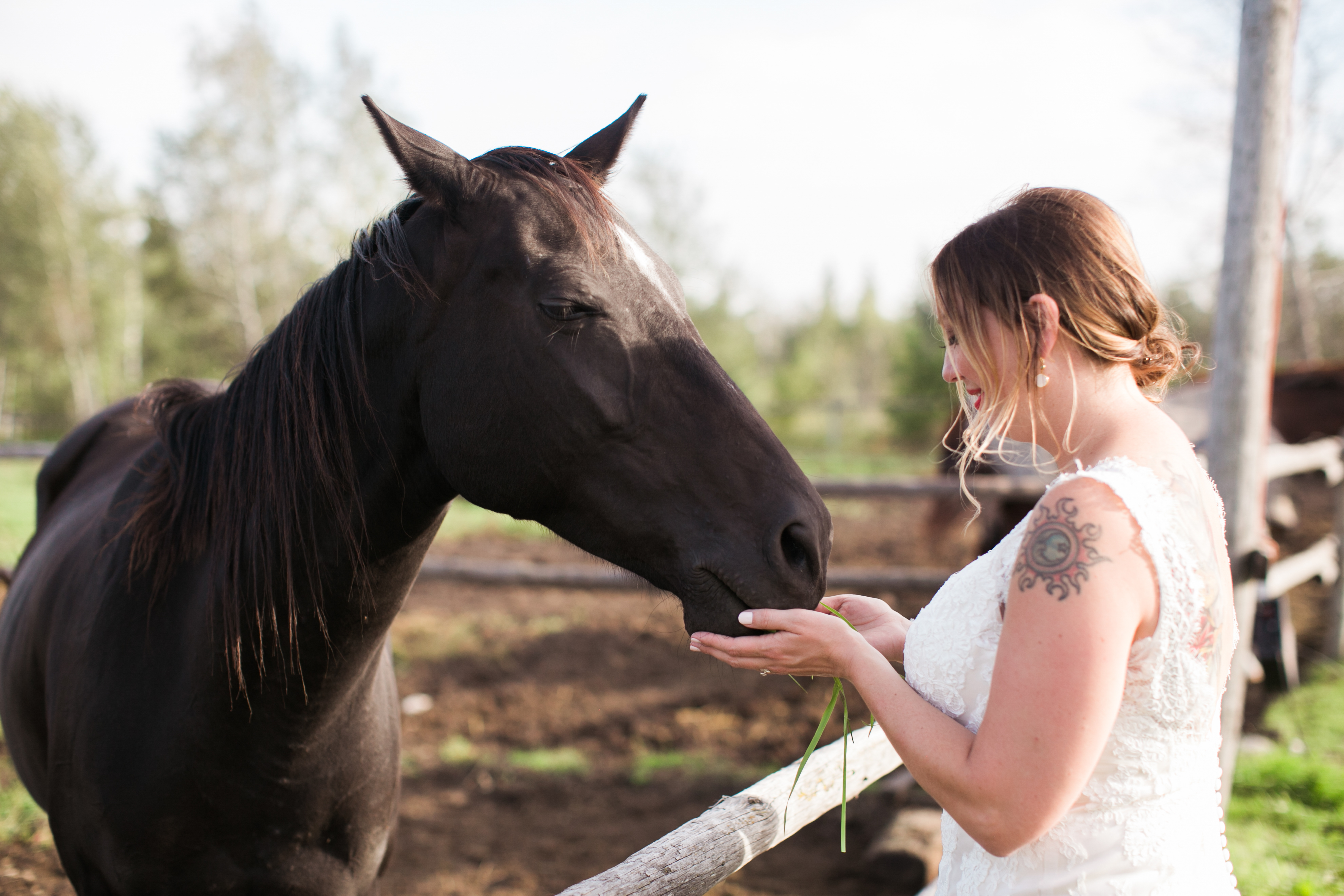 Bride with the horse - Amanda Douglas Events