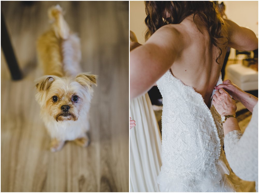Dog at your wedding - Amanda Douglas Events