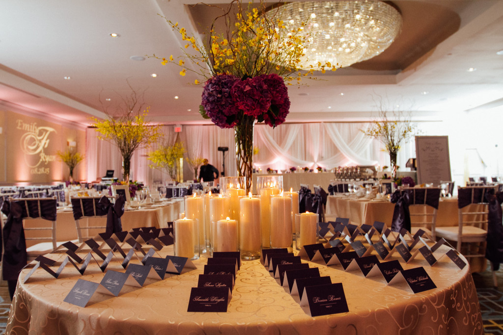 Emily & Ryan - Fairmont Winnipeg - Amanda Douglas Events