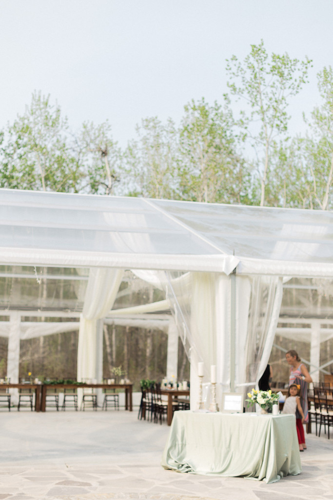 Cielo's Garden - Clear Top Tent