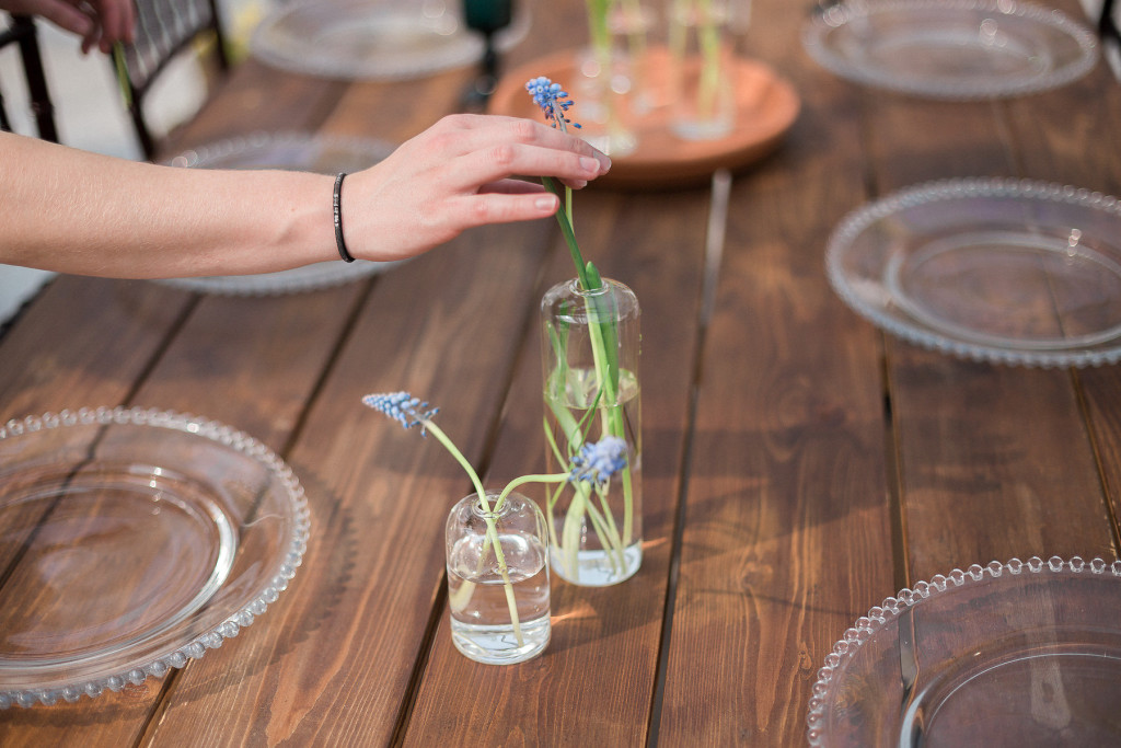 Cielo's Garden - Clear Top Tent