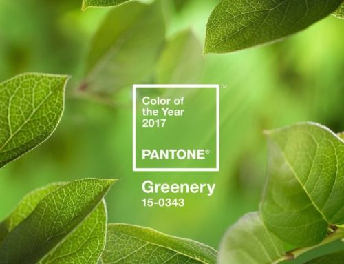 Our favourite ways to use Pantone Greenery in your Wedding