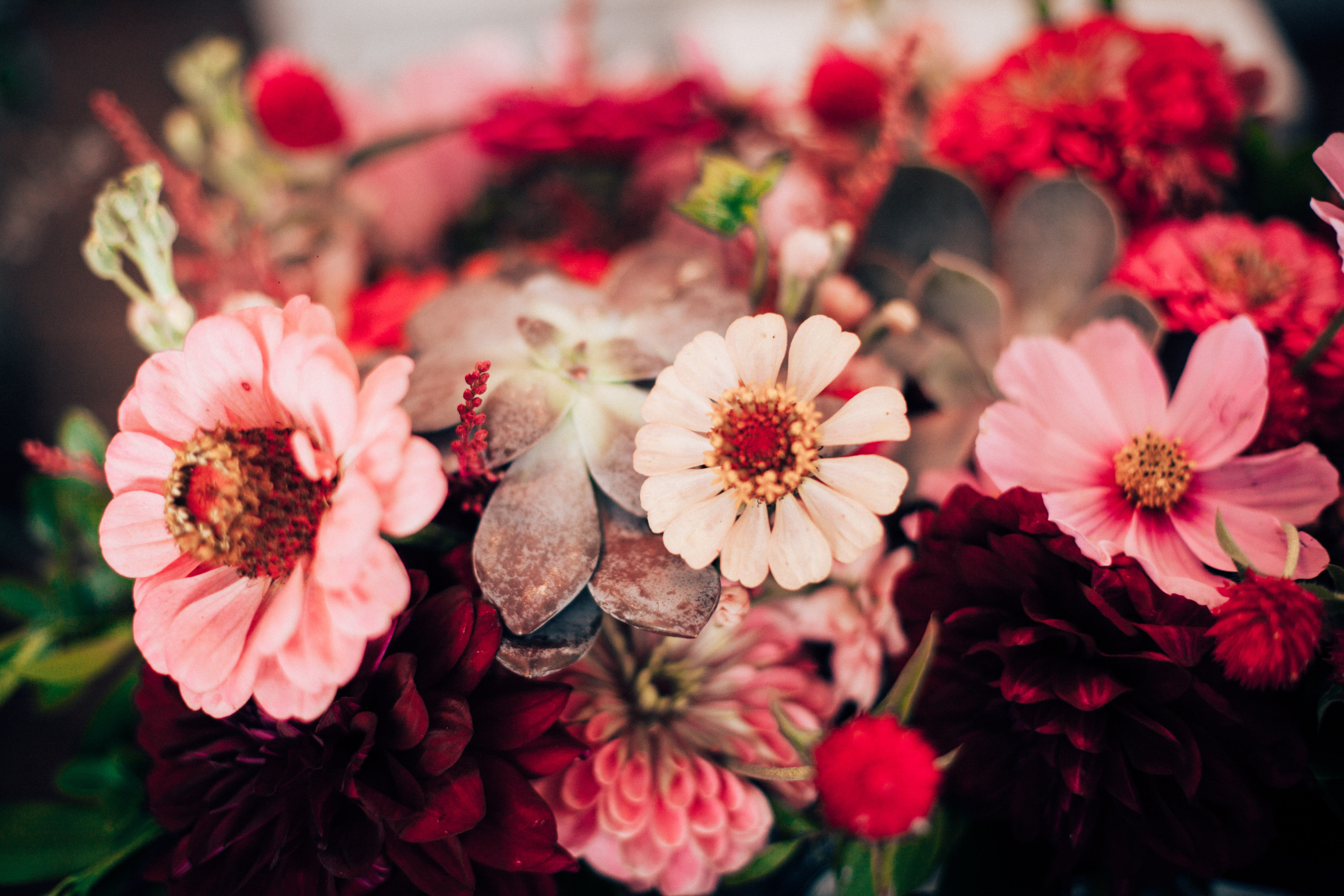 Qualico Family Centre Wedding - pink flowers