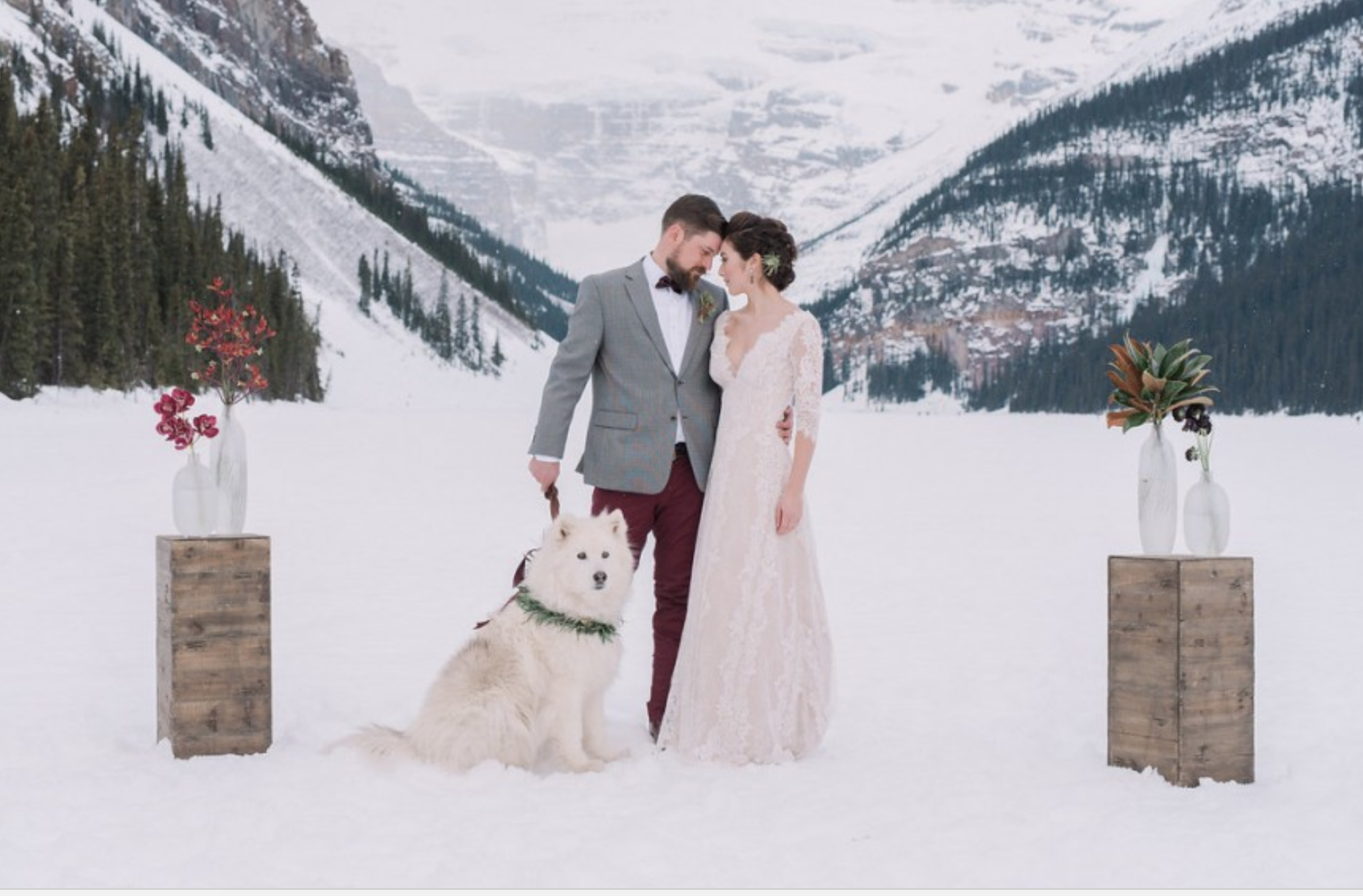 dog out in the snow at a winter wedding - Amanda Douglas Events